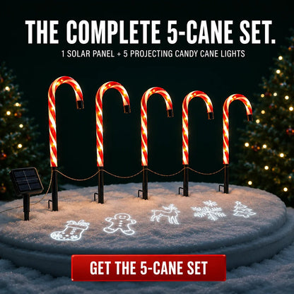 Christmas Yard Decor - Solar Candy Cane Projector Pathway Lights